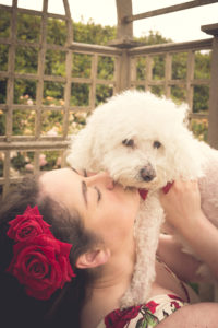 pets session in Aberdeen